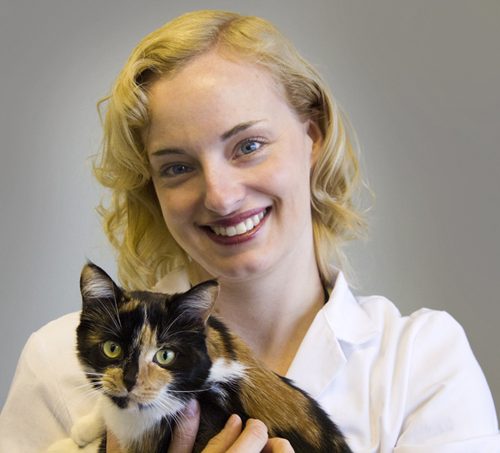 Meet The Team - Cat Hospital Of Brampton